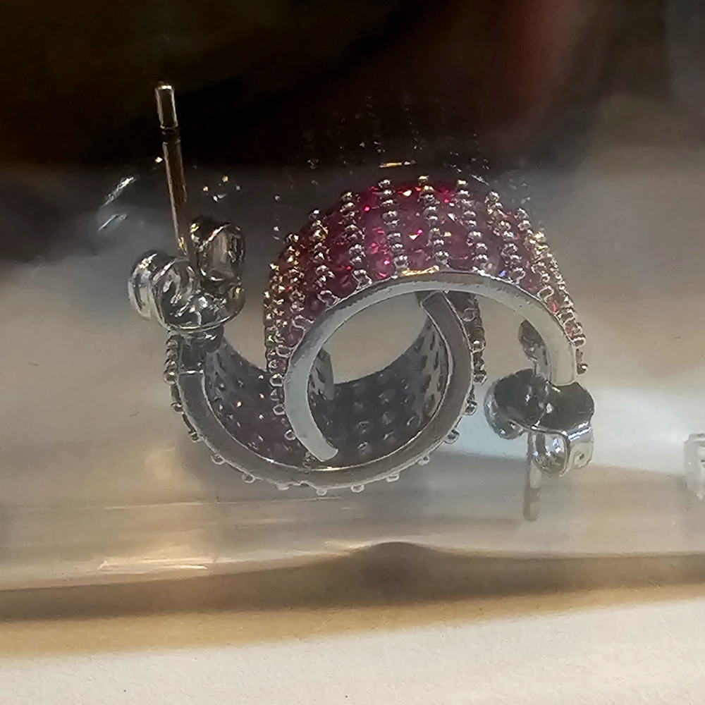 Red stone encrusted earrings